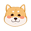 bmgg的头像